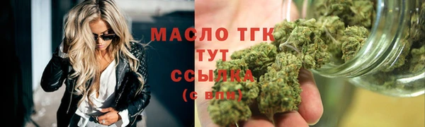 соль ск Надым