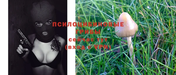 шишки Михайловск