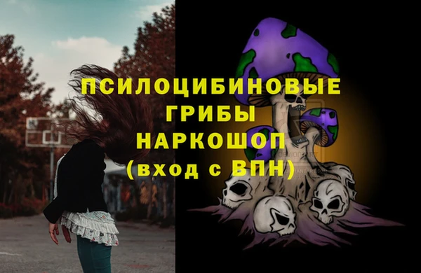 дмт Навашино