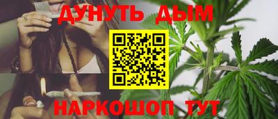 mdpv Гатчина
