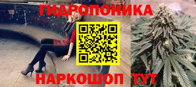 mdpv Гатчина