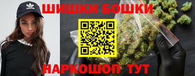mdpv Гатчина