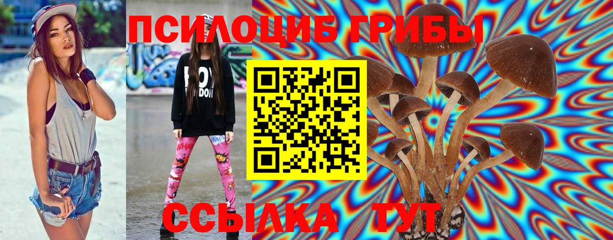 Галлюциногенные грибы MAGIC MUSHROOMS Златоуст