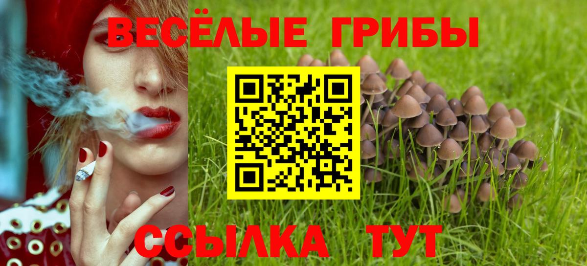 Галлюциногенные грибы ЛСД  Вход с VPN  Златоуст 