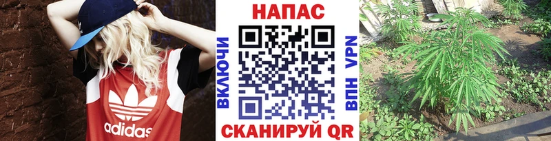 Канабис план  OMG как зайти  darknet официальный сайт  что такое наркотик  Златоуст 
